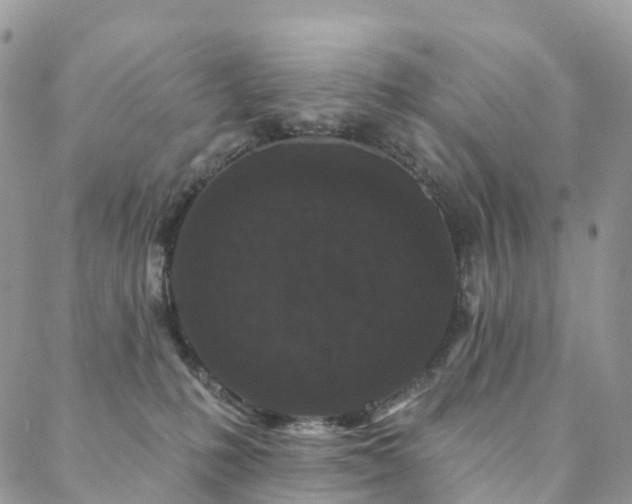 X0000088670231200705311151