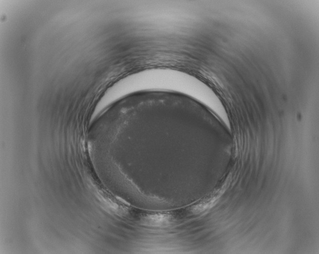 X0000088670237200705311151