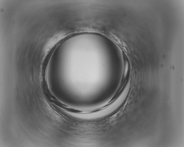 X0000088670248200705311150