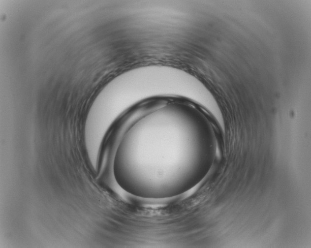 X0000088670276200705311150
