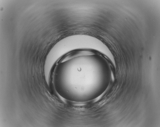X0000088670284200705311150