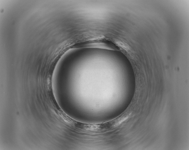 X0000088670288200705311150
