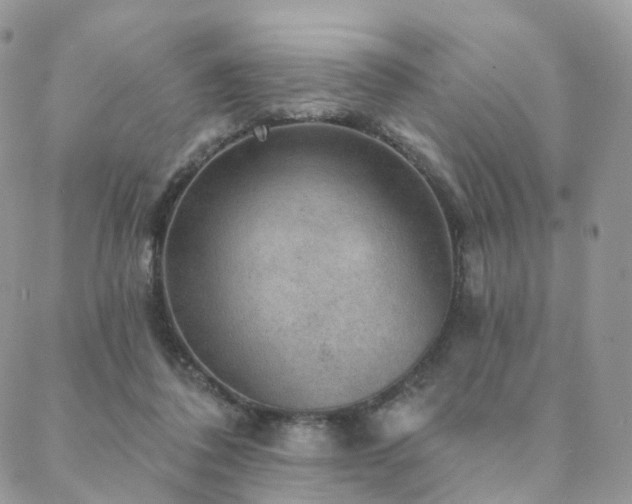 X0000088670308200705311149