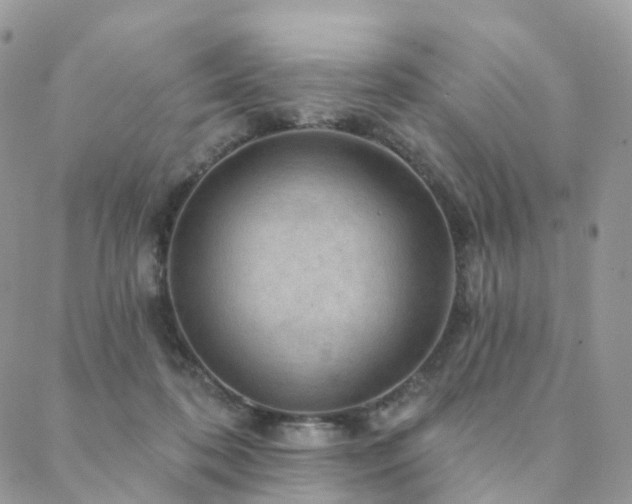 X0000088670316200705311149