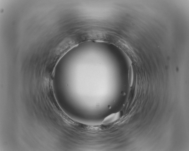 X0000088670333200705311149