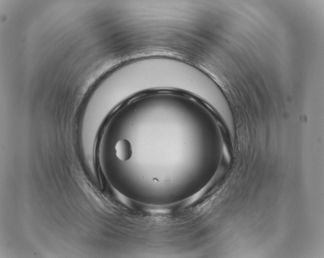 X0000088670350200705311148