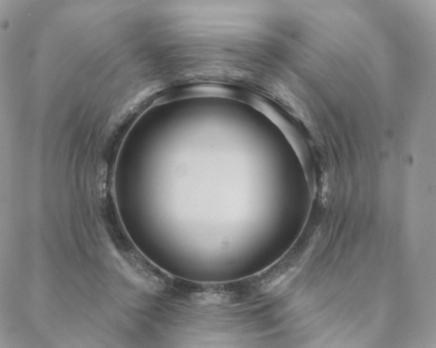 X0000088670356200705311148