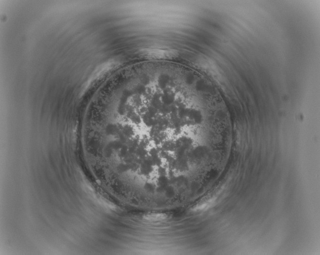 X0000088670357200705311148