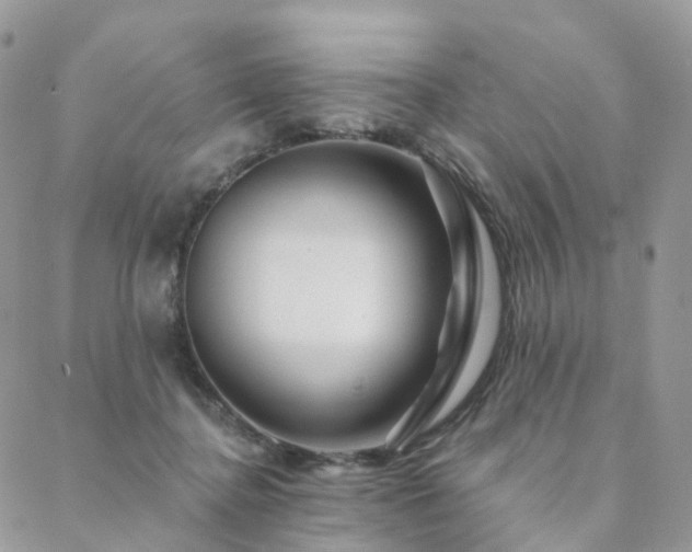 X0000088670364200705311149