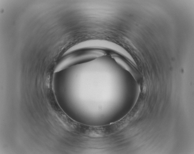 X0000088670368200705311149