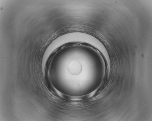 X0000088670382200705311149