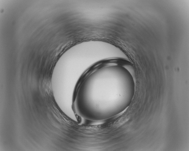 X0000088670384200705311149