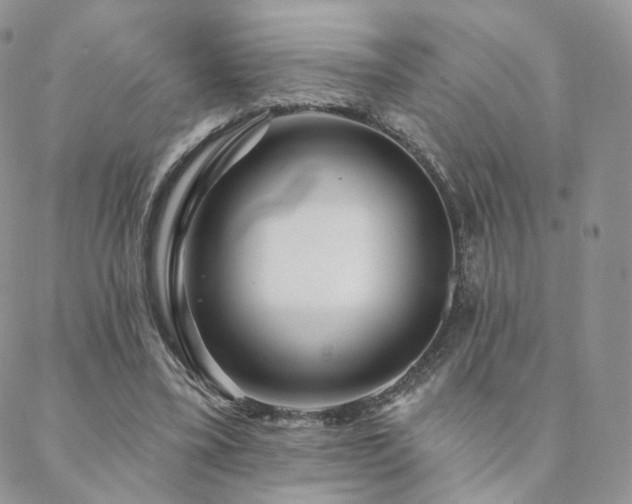 X0000088670395200705311148