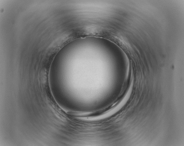 X0000088670413200705311148