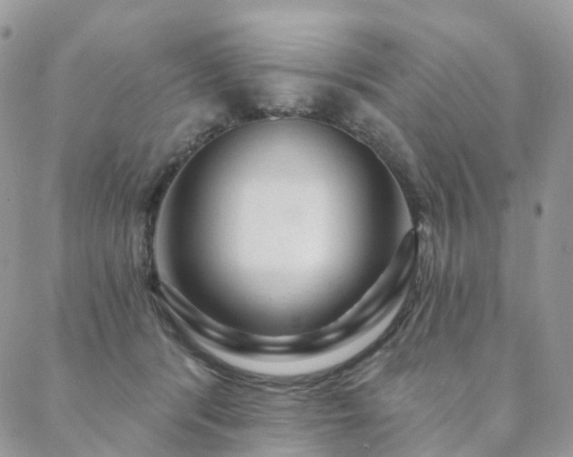 X0000088670416200705311148