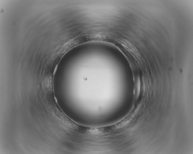 X0000088670425200705311147