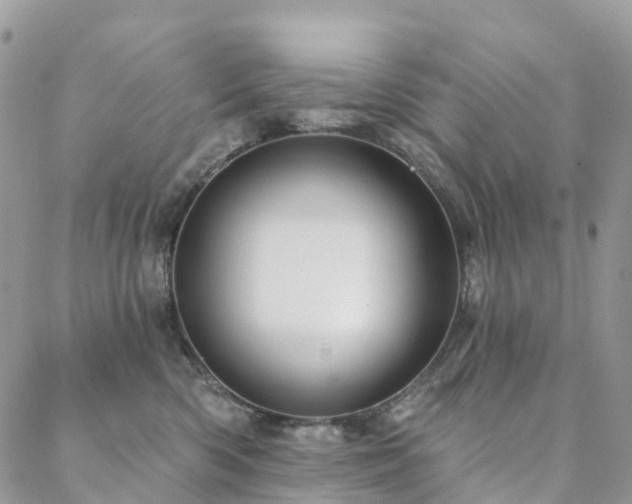 X0000088670426200705311147