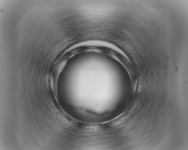 X0000088670428200705311147