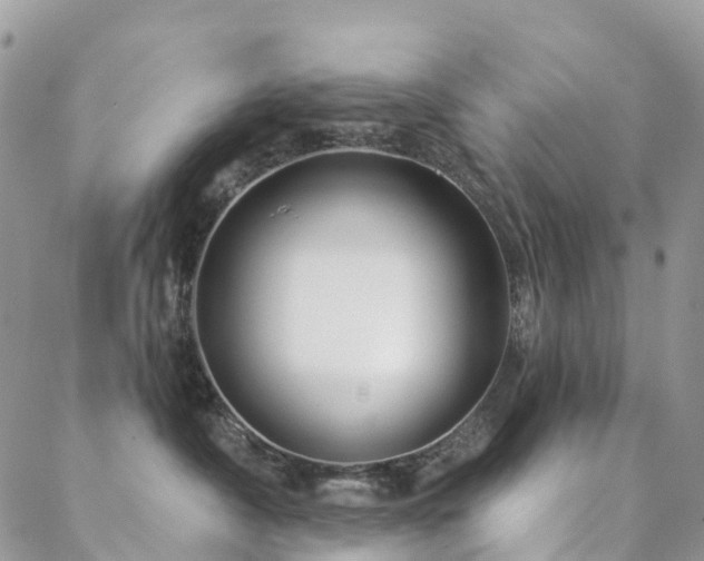 X0000088670430200705311147