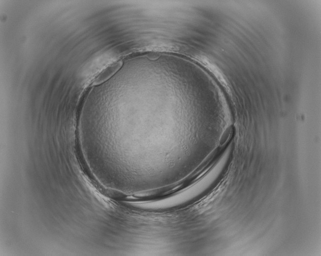 X0000088670437200705311147