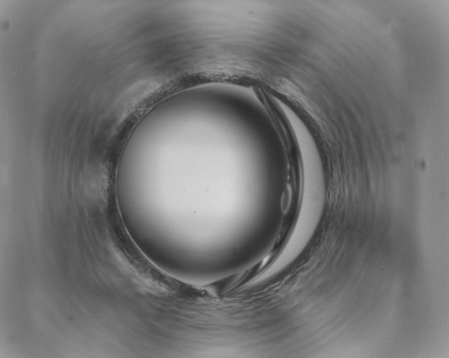 X0000088670448200705311147