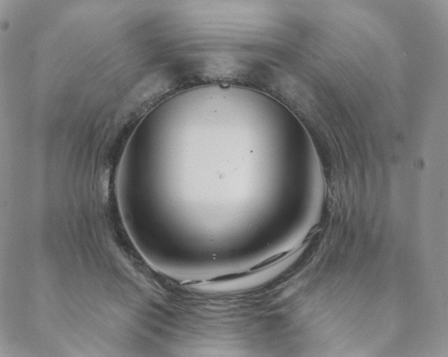 X0000088670454200705311147
