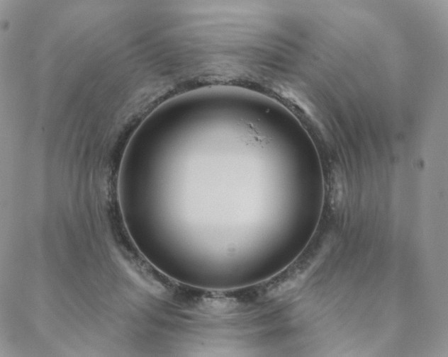 X0000088670455200705311147