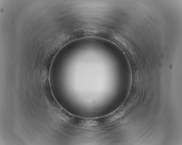 X0000088670463200705311147