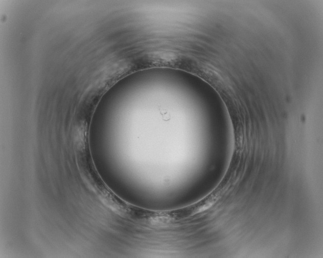 X0000088670468200705311147