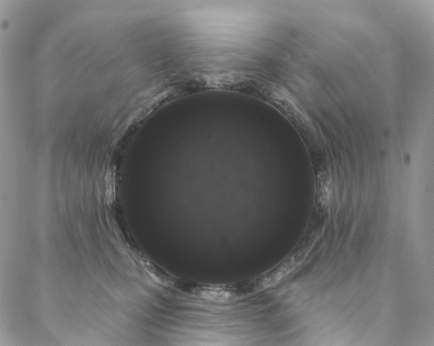 X0000088670471200705311147
