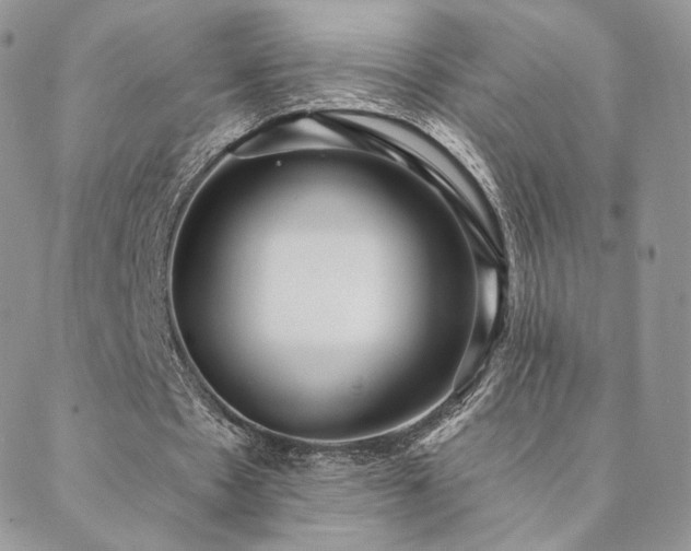 X0000088670481200705311147