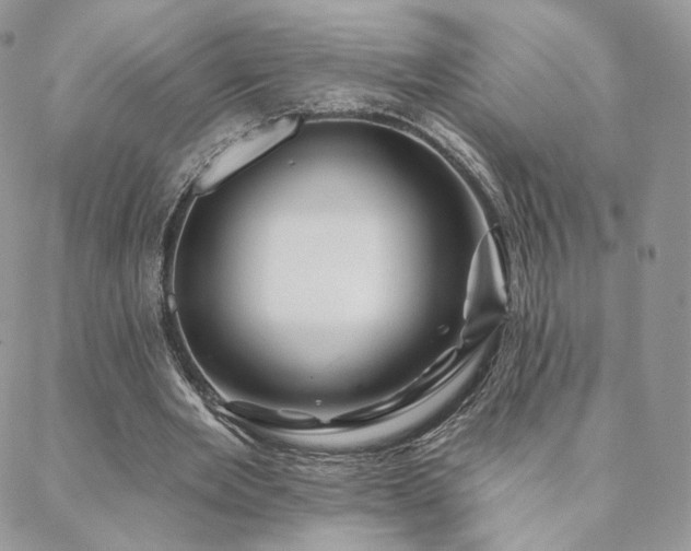 X0000088670485200705311146