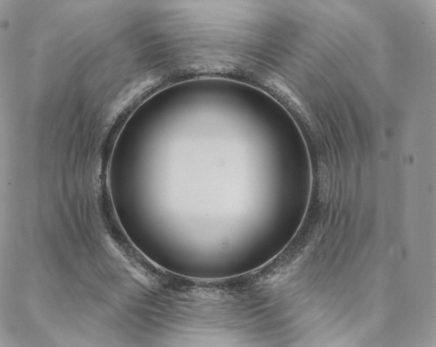 X0000088670490200705311146