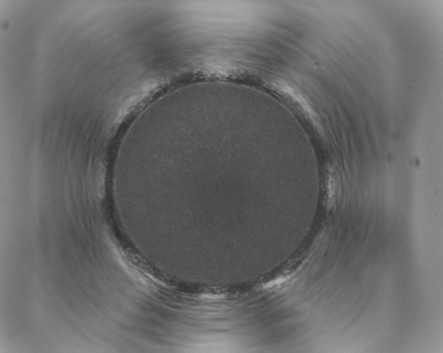 X0000088670496200705311146