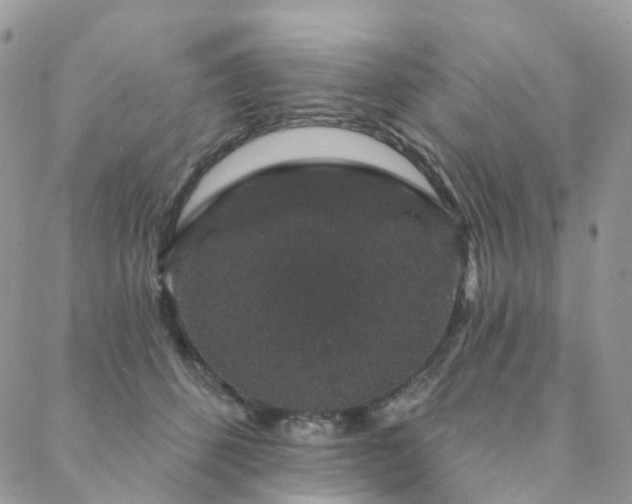 X0000088670512200705311146