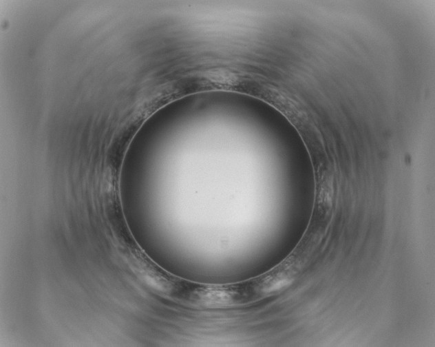 X0000088670518200705311146