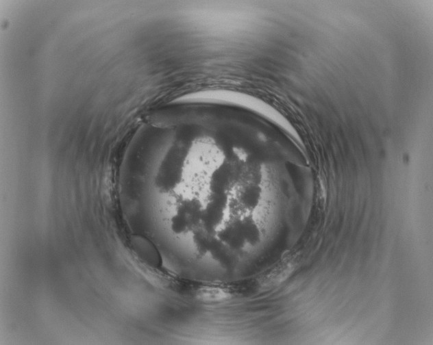 X0000088670519200705311146