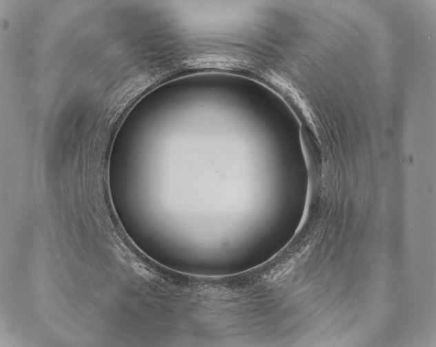 X0000088670529200705311145