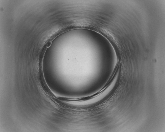 X0000088670535200705311145
