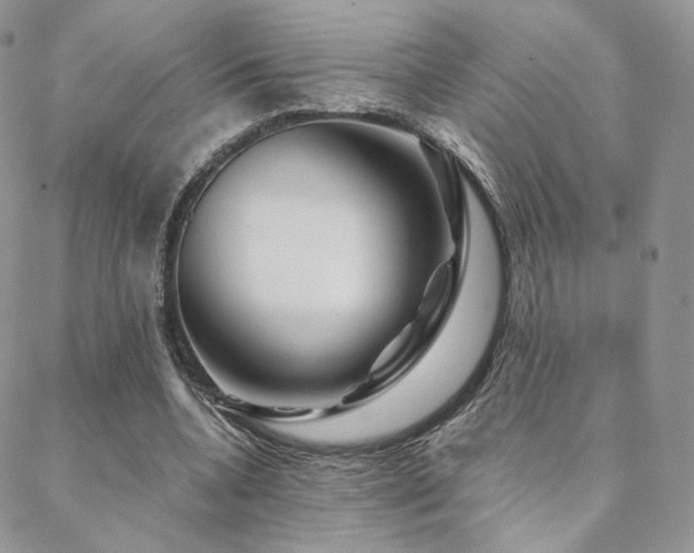X0000088670536200705311145