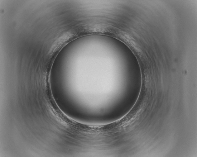 X0000088670537200705311145