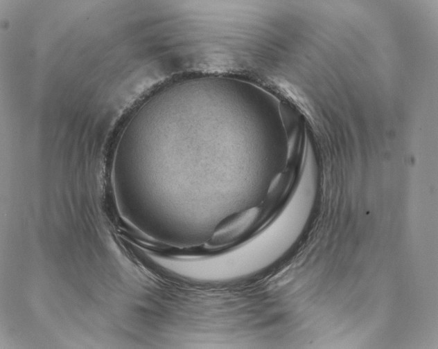 X0000088670540200705311145