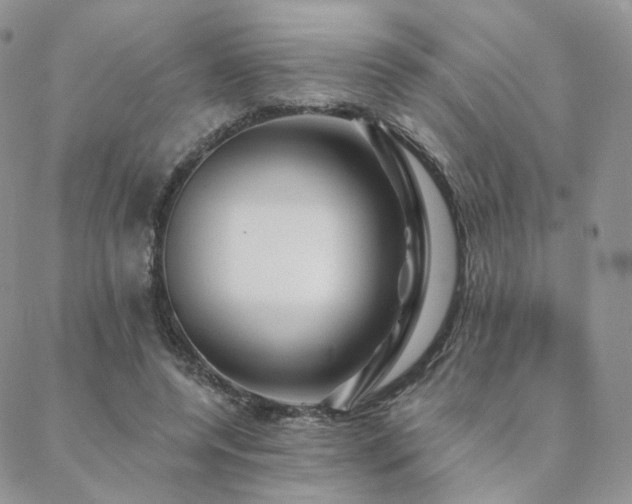 X0000088670544200705311145