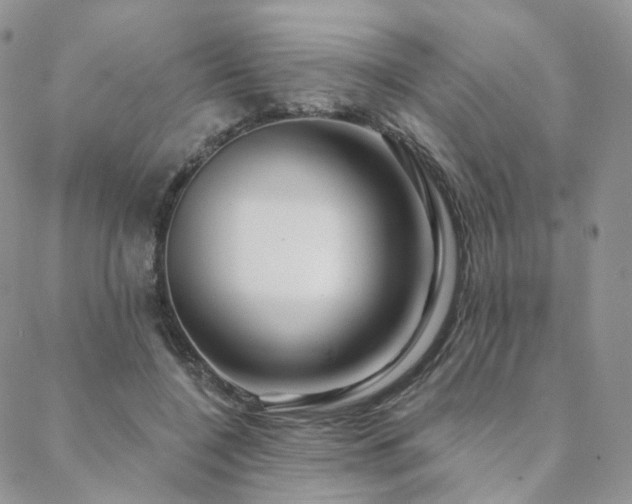 X0000088670548200705311145