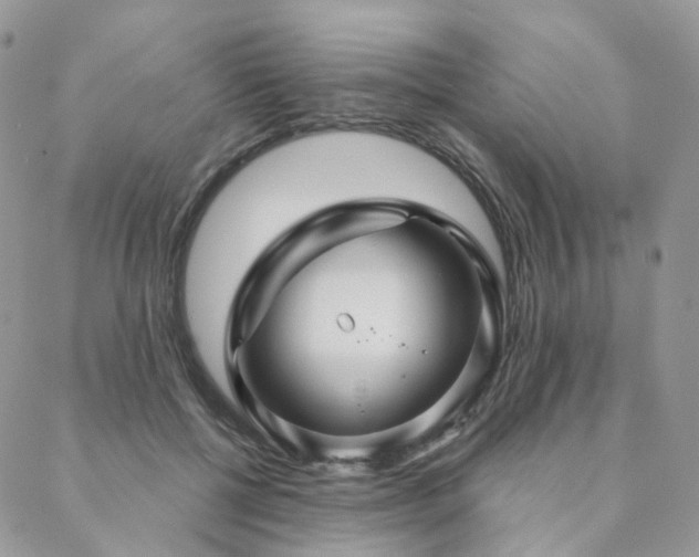 X0000088670552200705311145