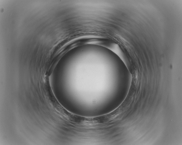 X0000088670556200705311145