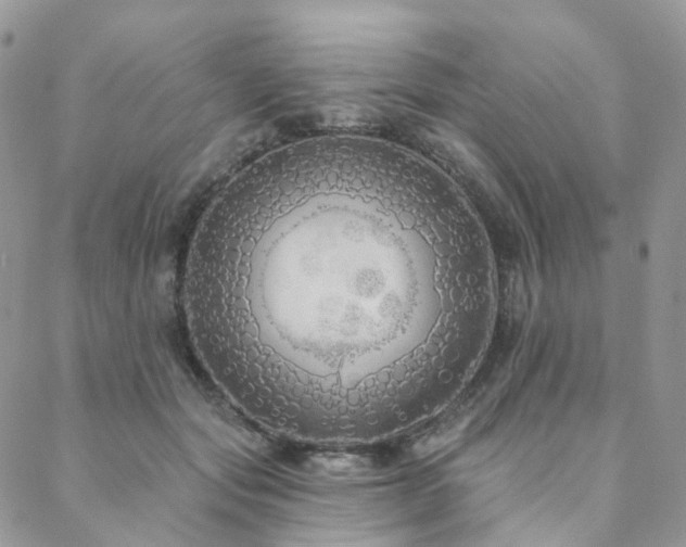 X0000088670557200705311145
