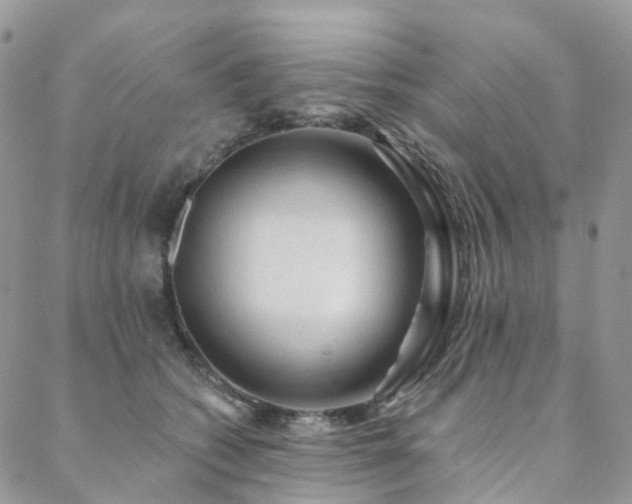 X0000088670562200705311146