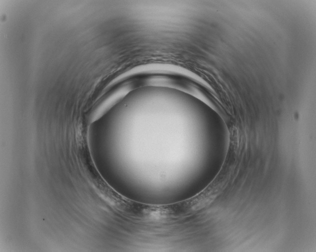 X0000088670564200705311146