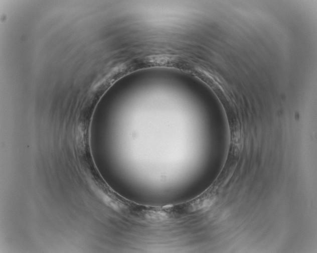 X0000088670572200705311146